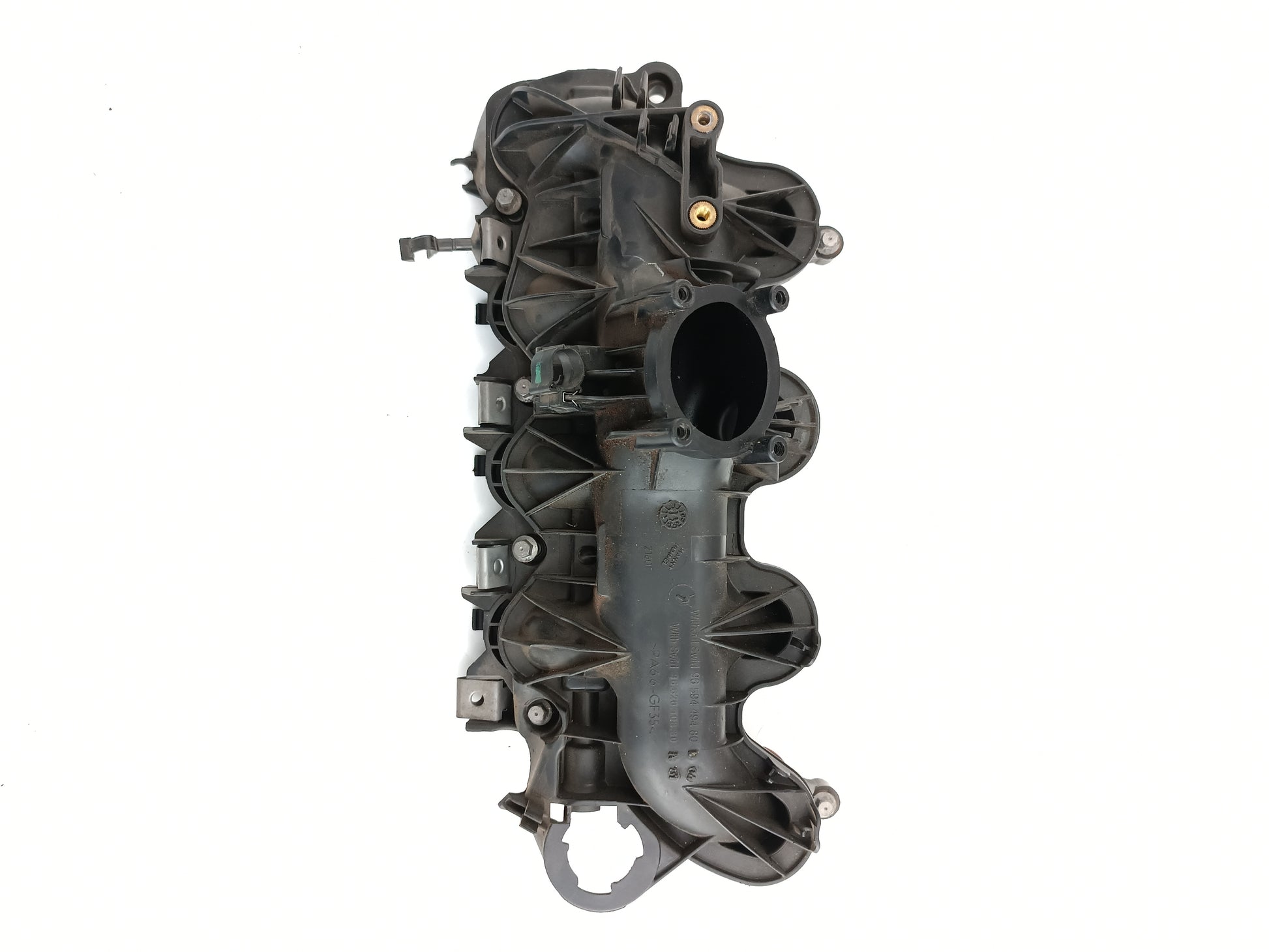 XR858327,LR019987