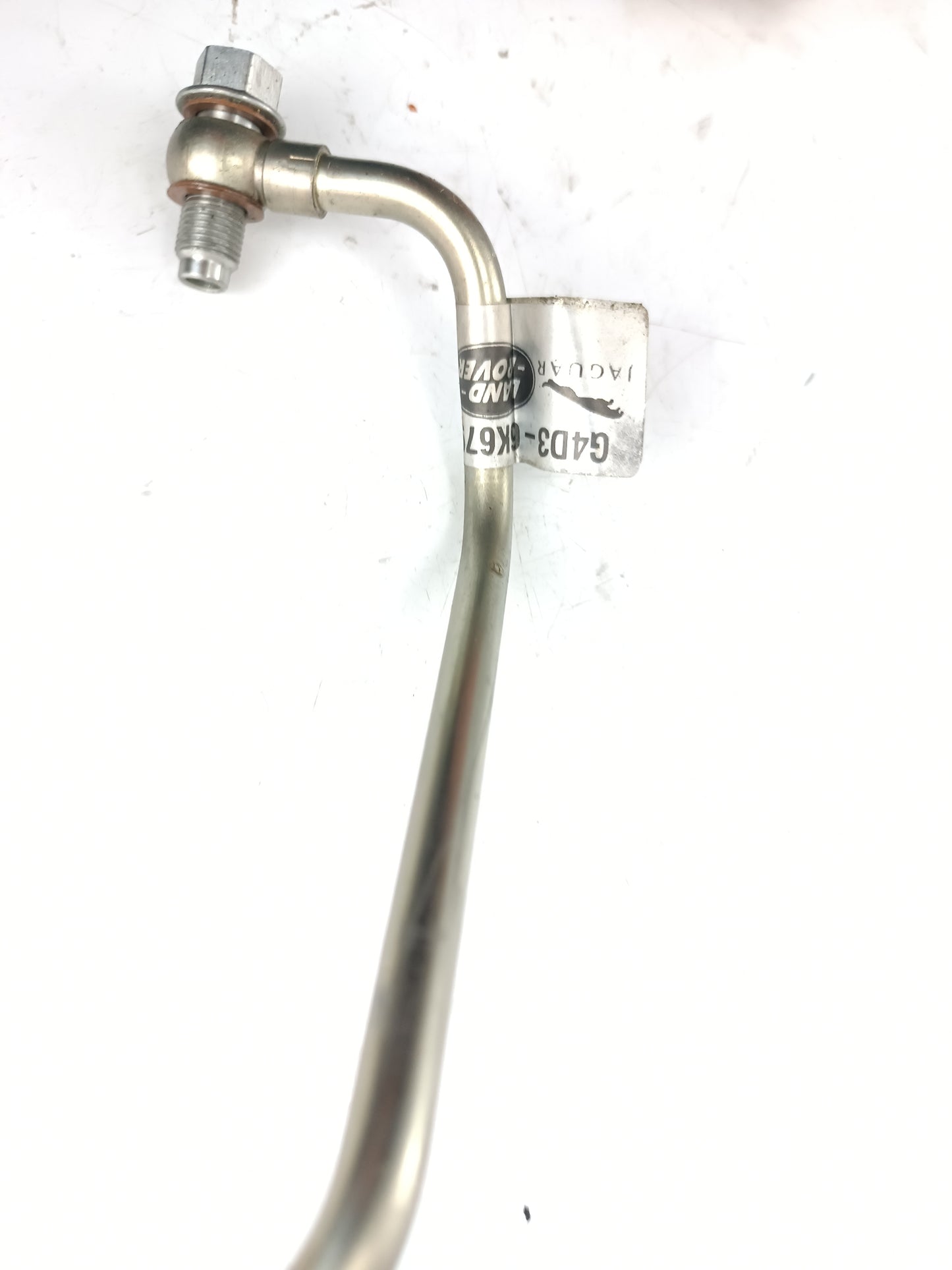 LR081640,AJ813404