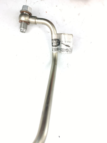 LR081640,AJ813404