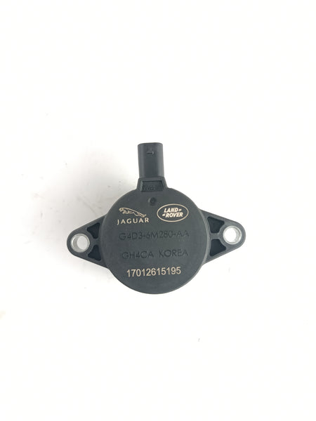 LR073778,AJ813329