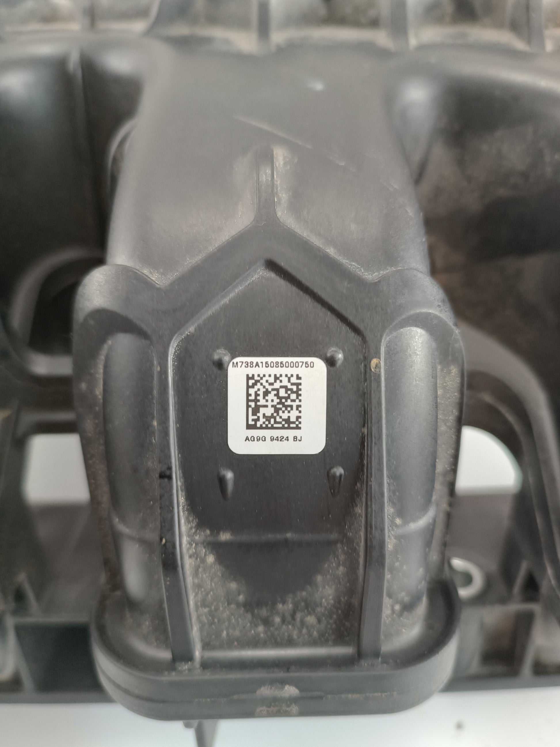 T2H3696,T2H24565,LR088577,LR055363
