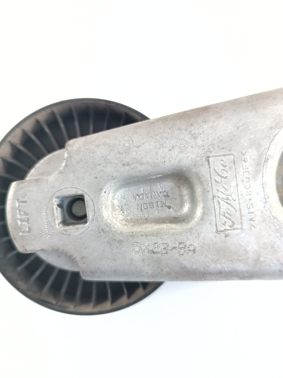LR039517,AJ813574