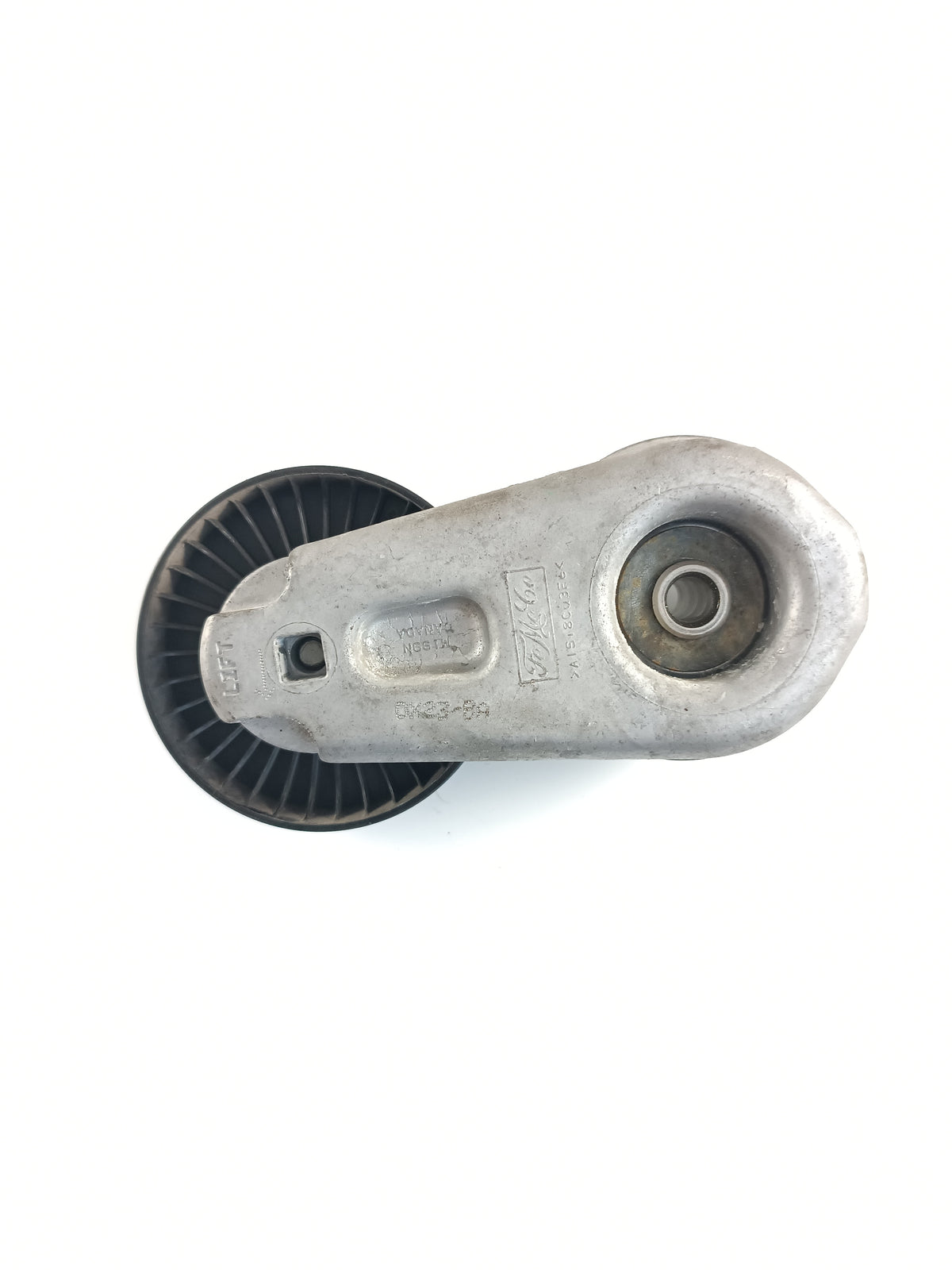 LR039517,AJ813574
