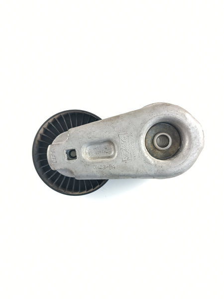 LR039517,AJ813574
