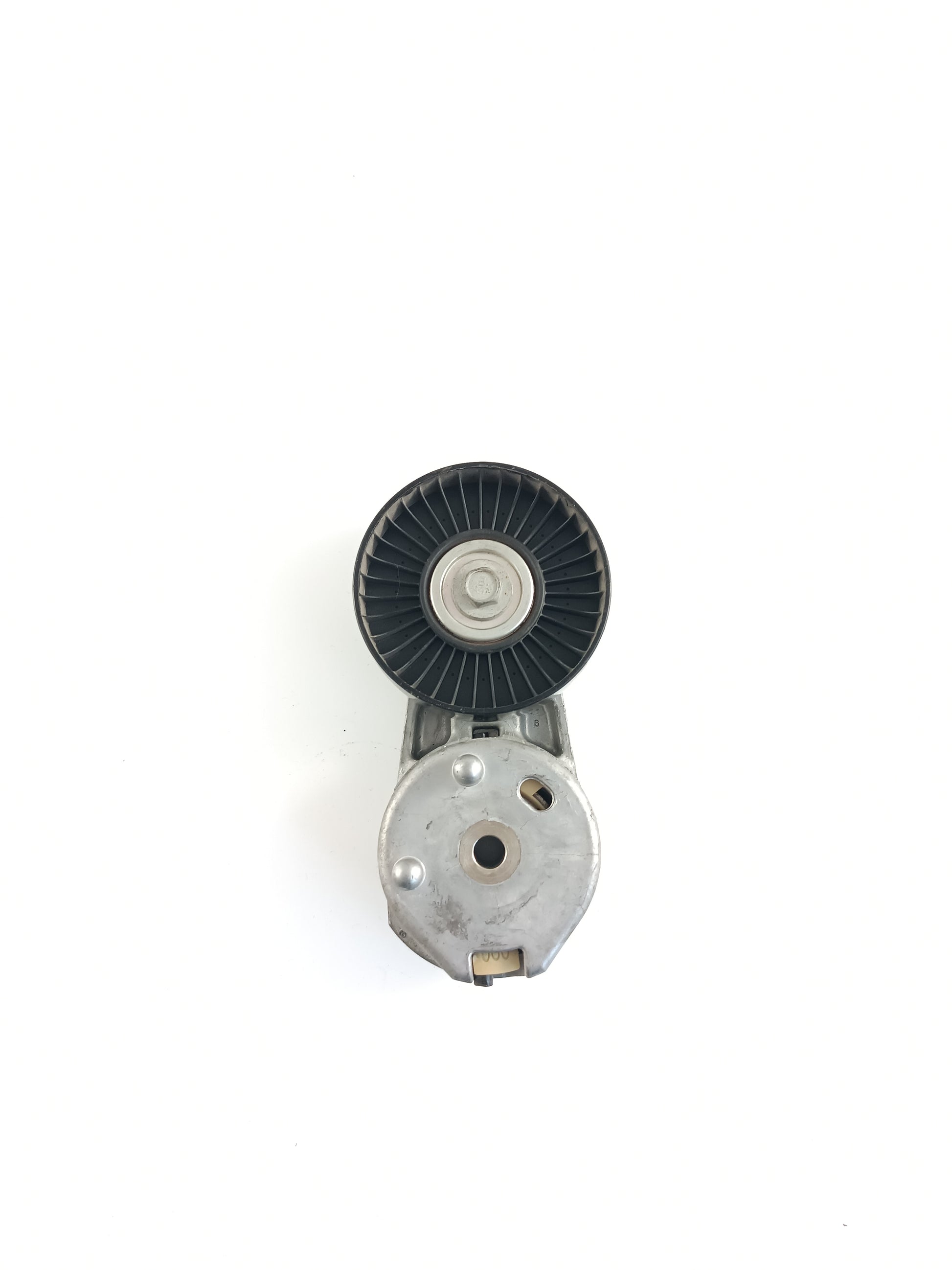 LR039517,AJ813574