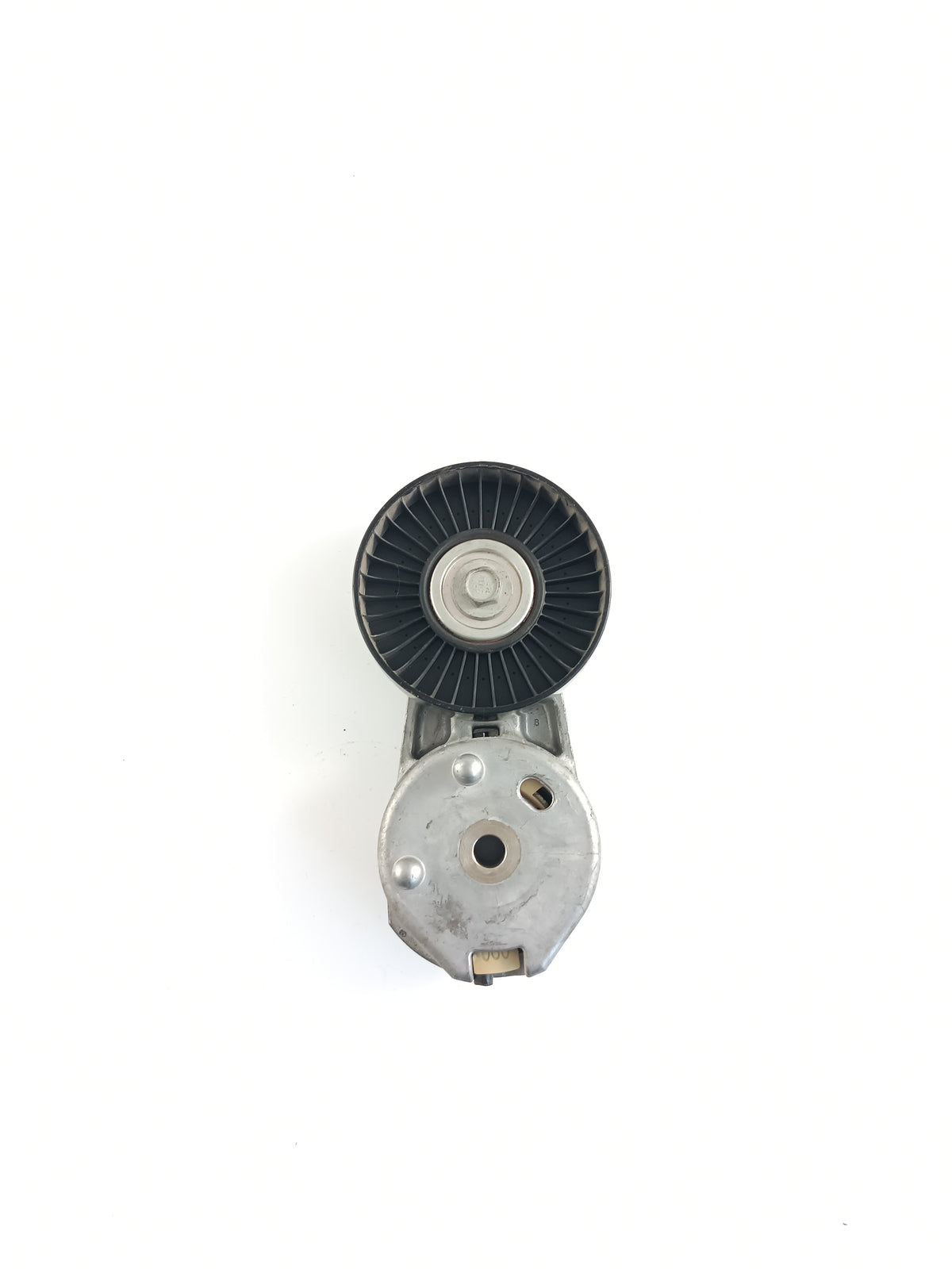 LR039517,AJ813574
