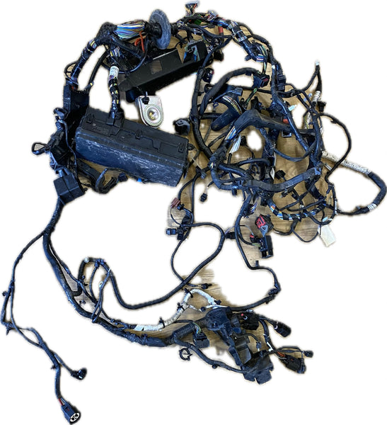 LR128503