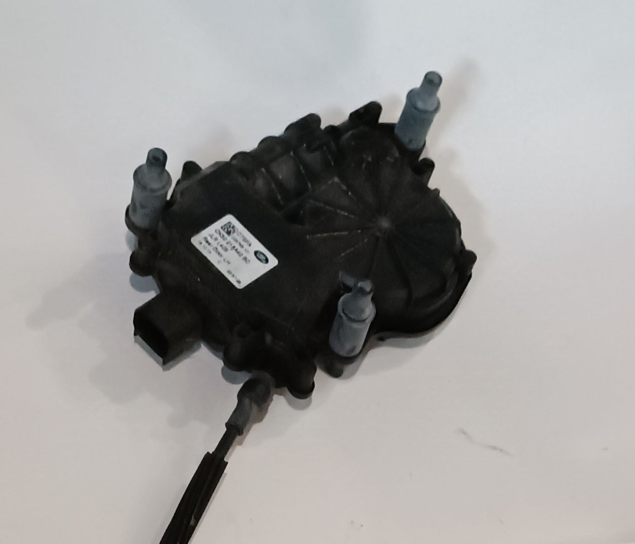 LR108981,LR064861,LR038298