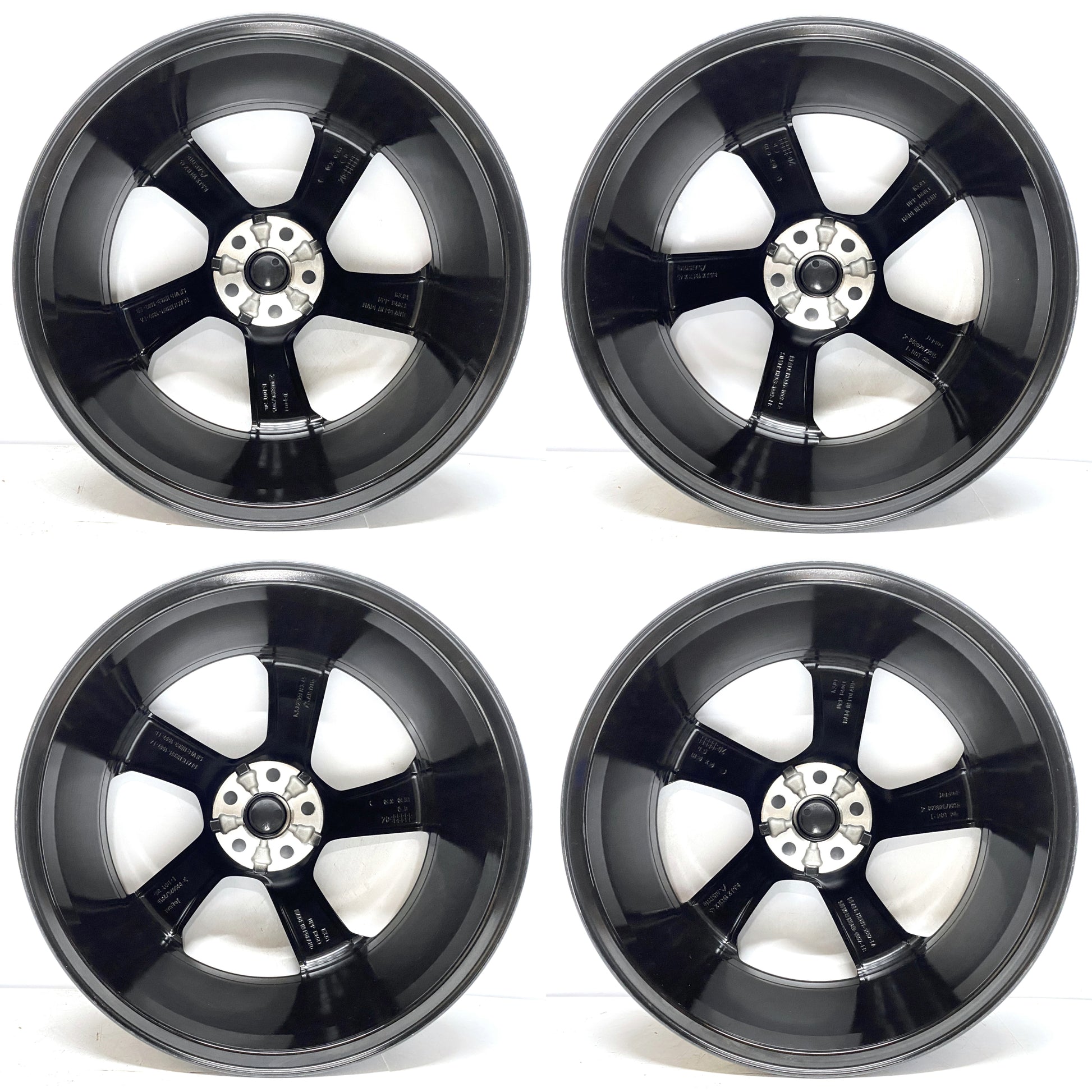 T4A9970,T4A41544