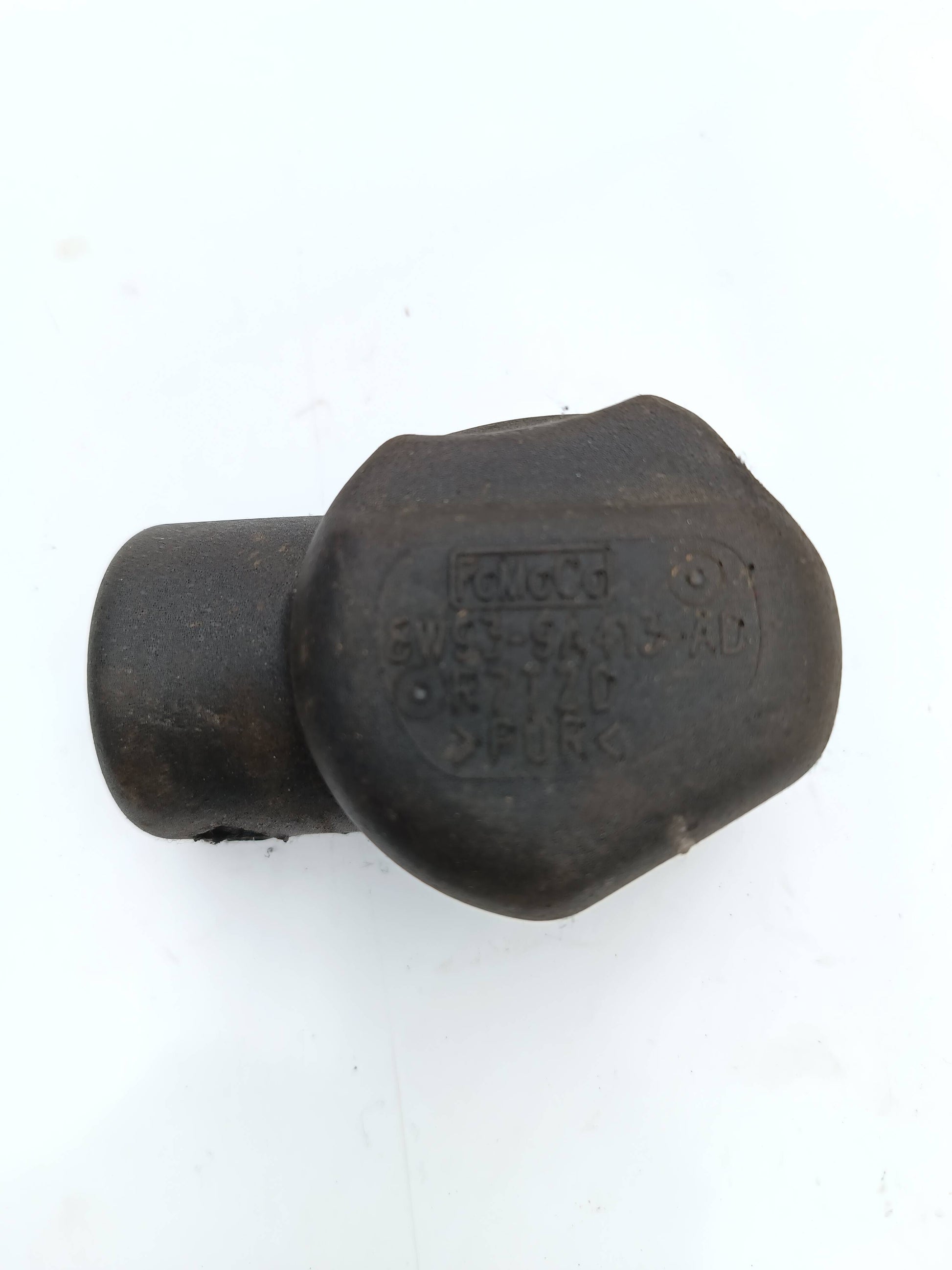 LR082340,LR060131,AJ813761,AJ813654