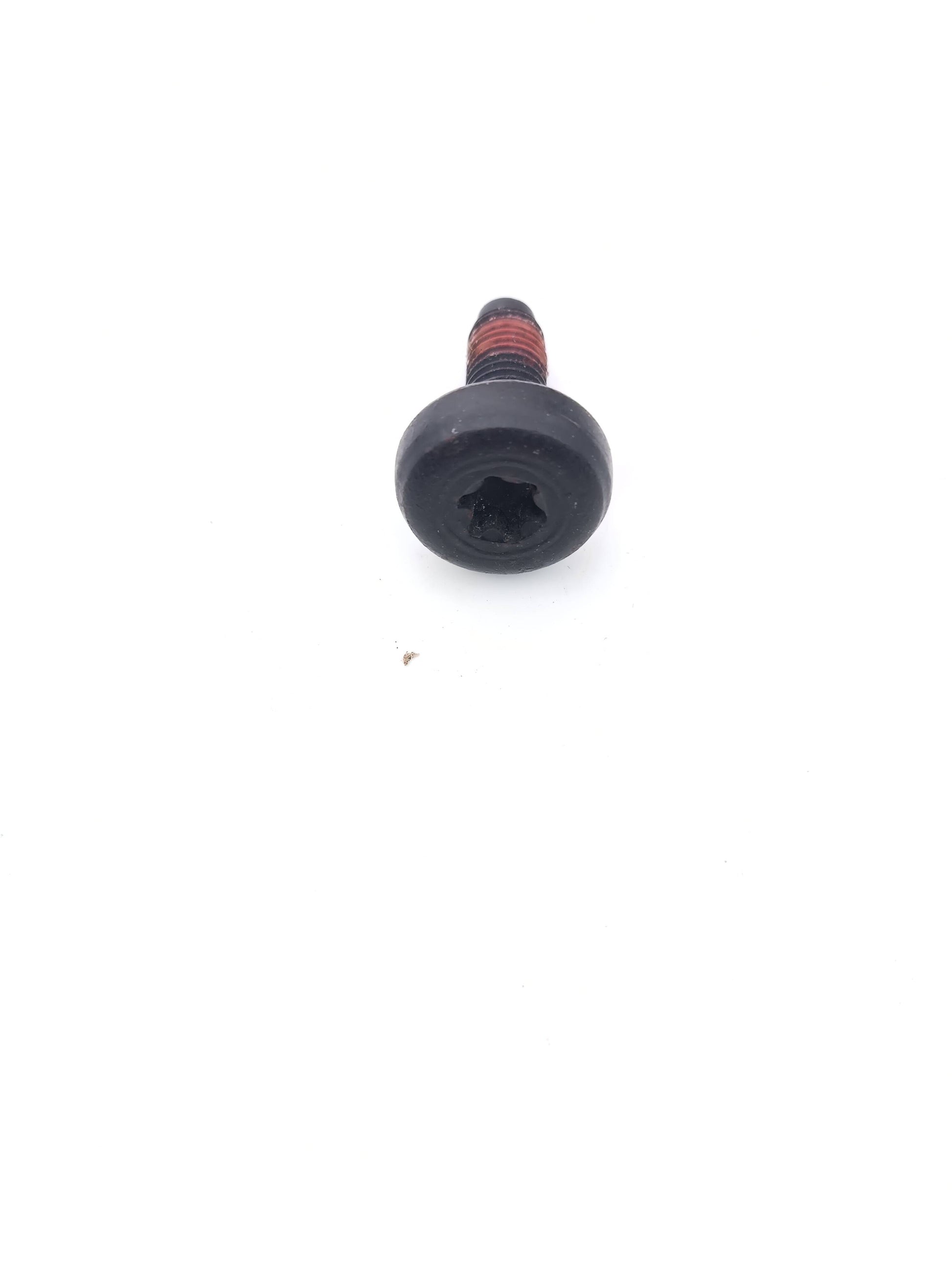 LR053817,C2G2704