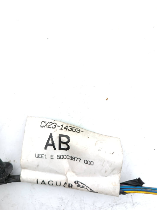 C2Z13439