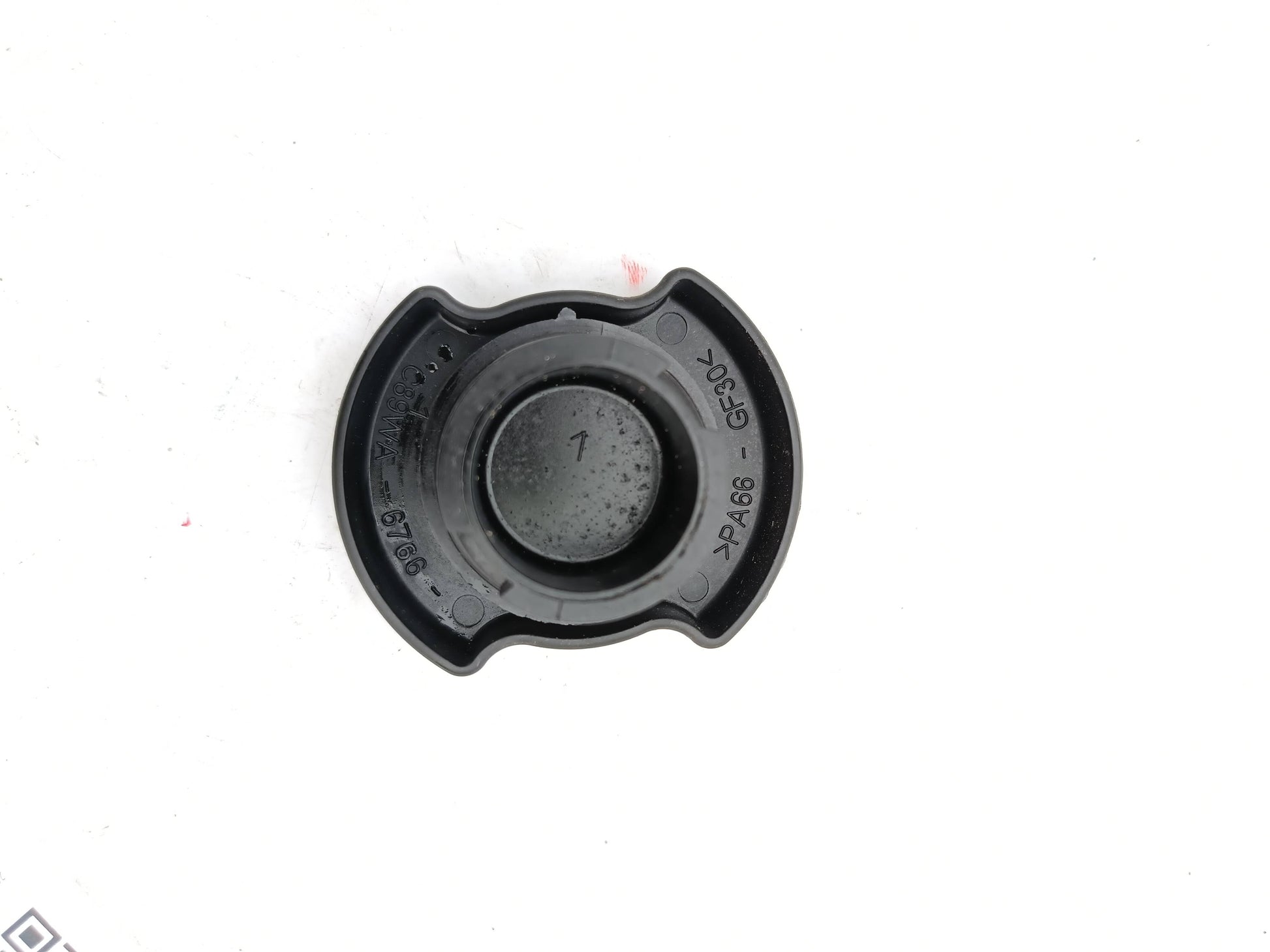 LR073782,AJ813307