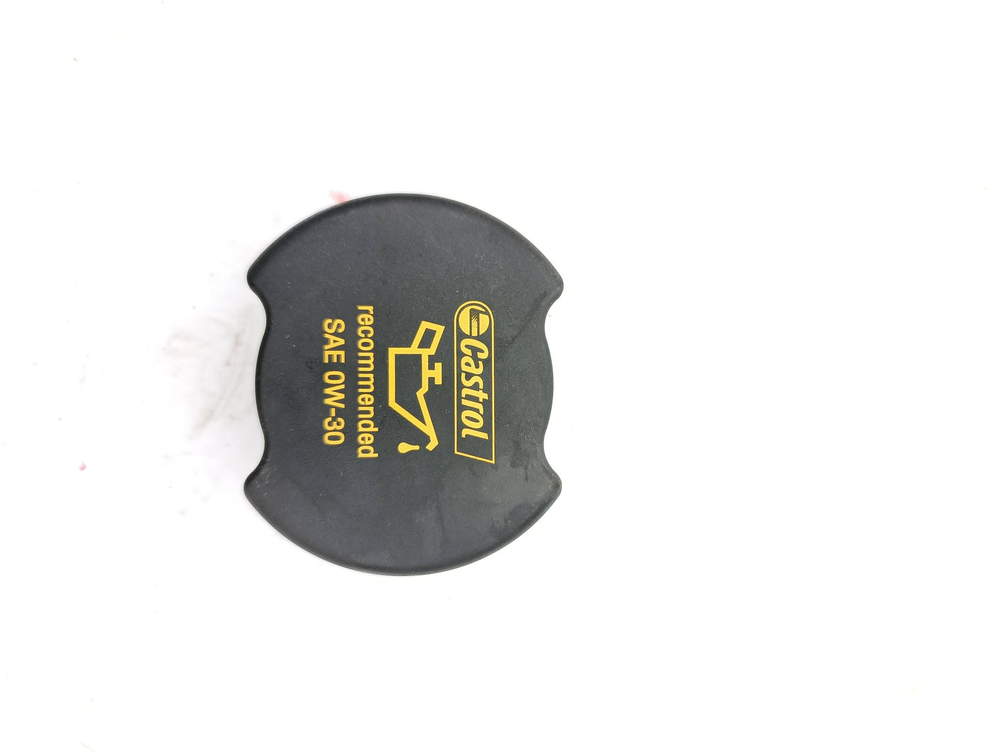 LR073782,AJ813307