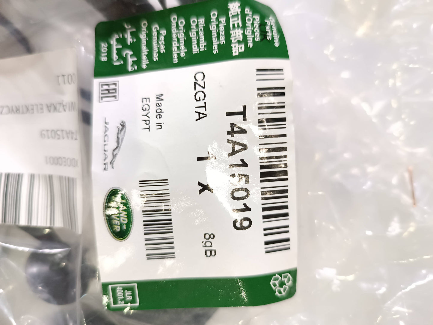 T4A15019