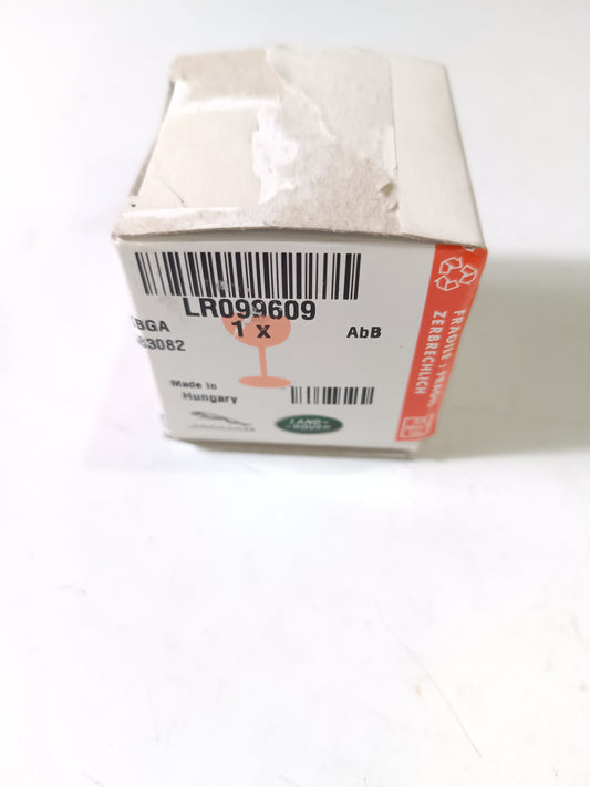 LR099609