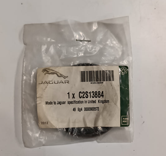 C2S13884