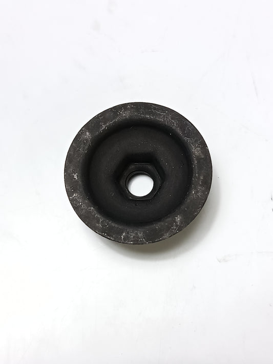 LR033698