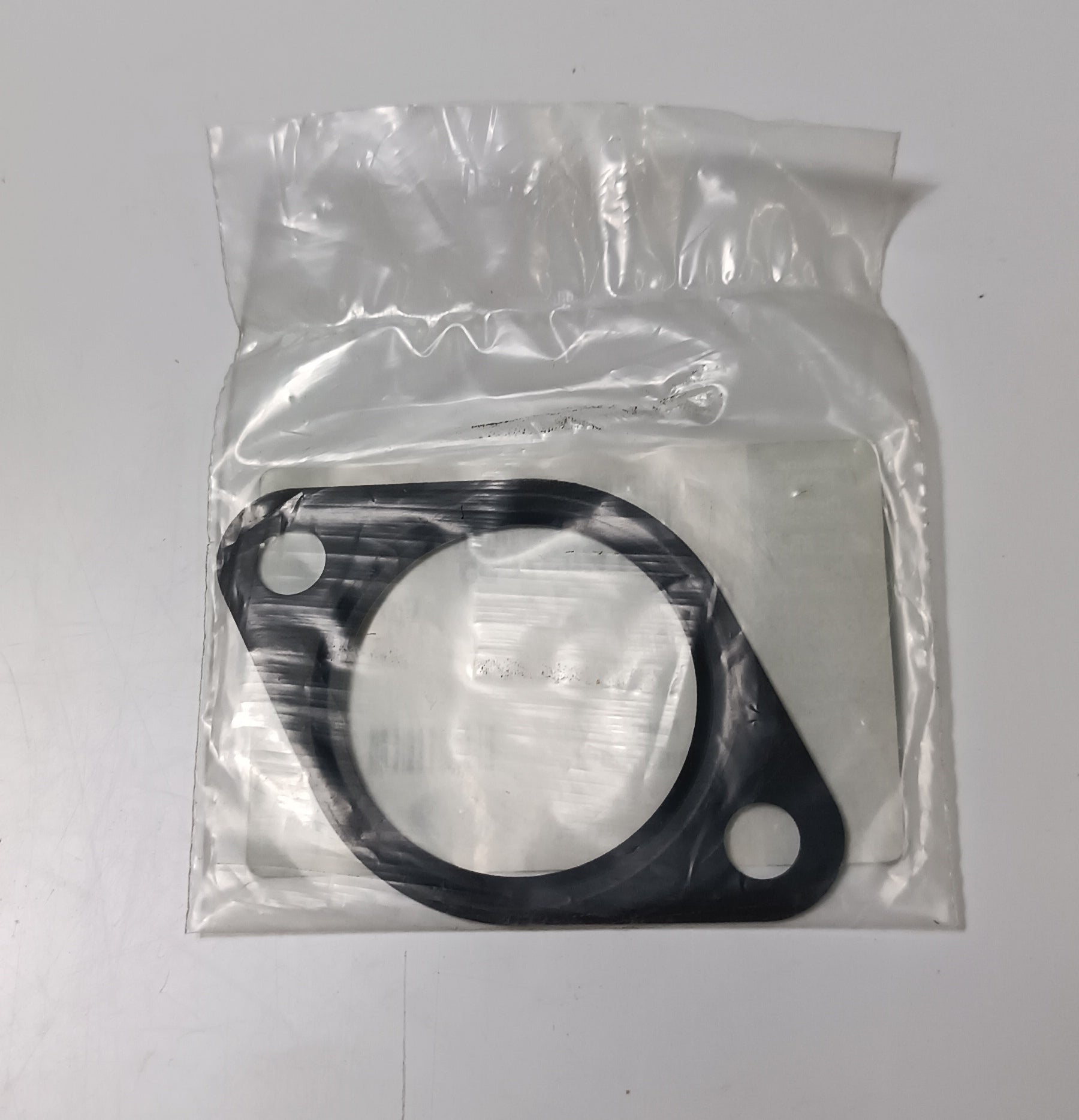 LR037955
