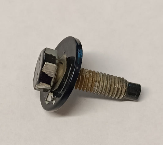 C2P4787,AYP500110