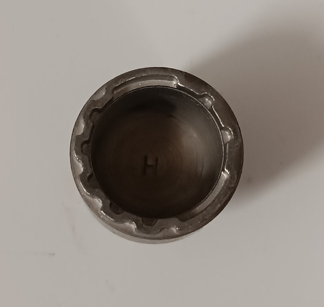T2R36343,LR116667