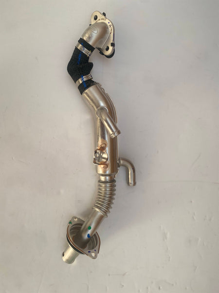 LR093645,JDE39432