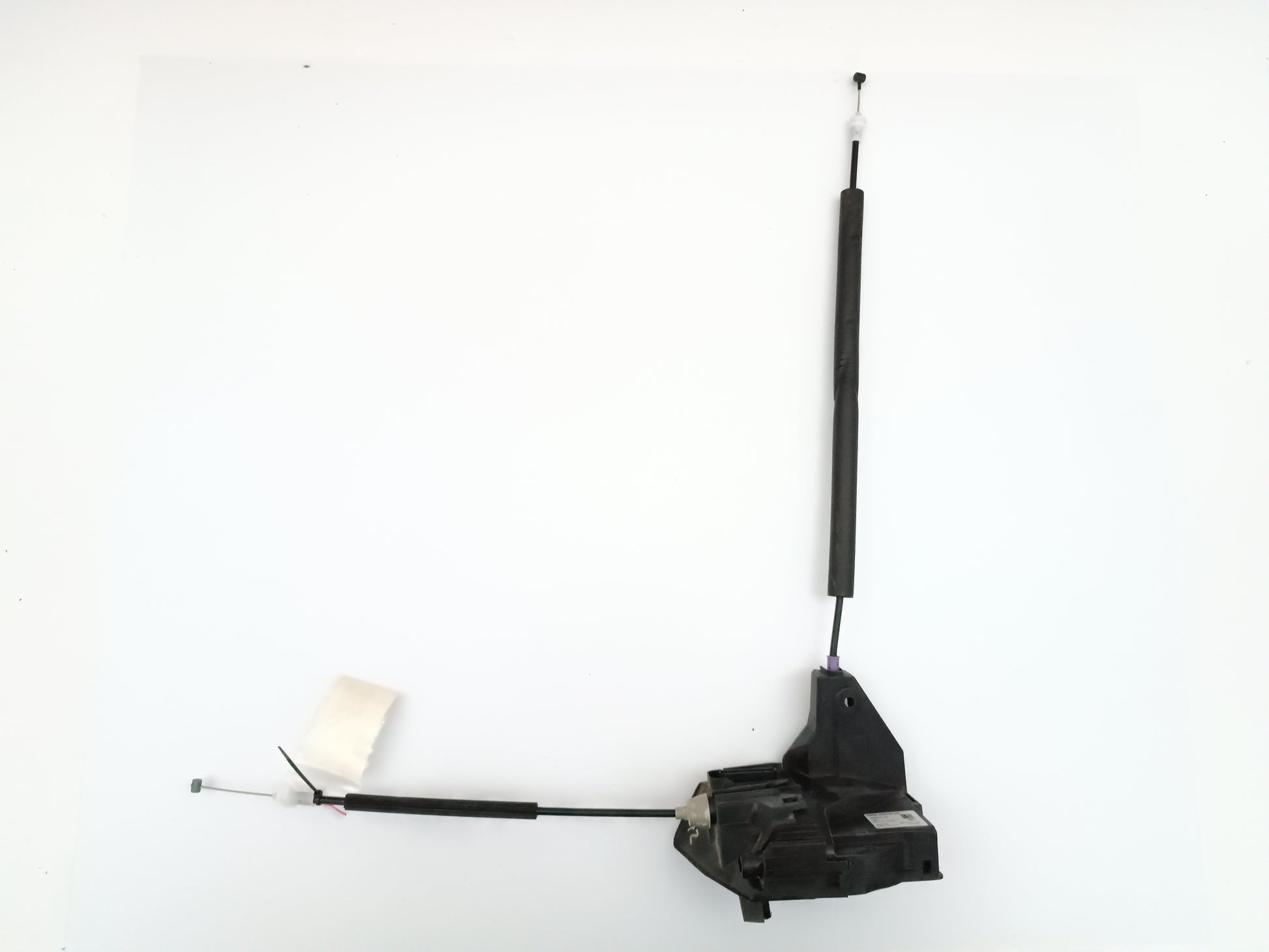 T2H17428,LR070434