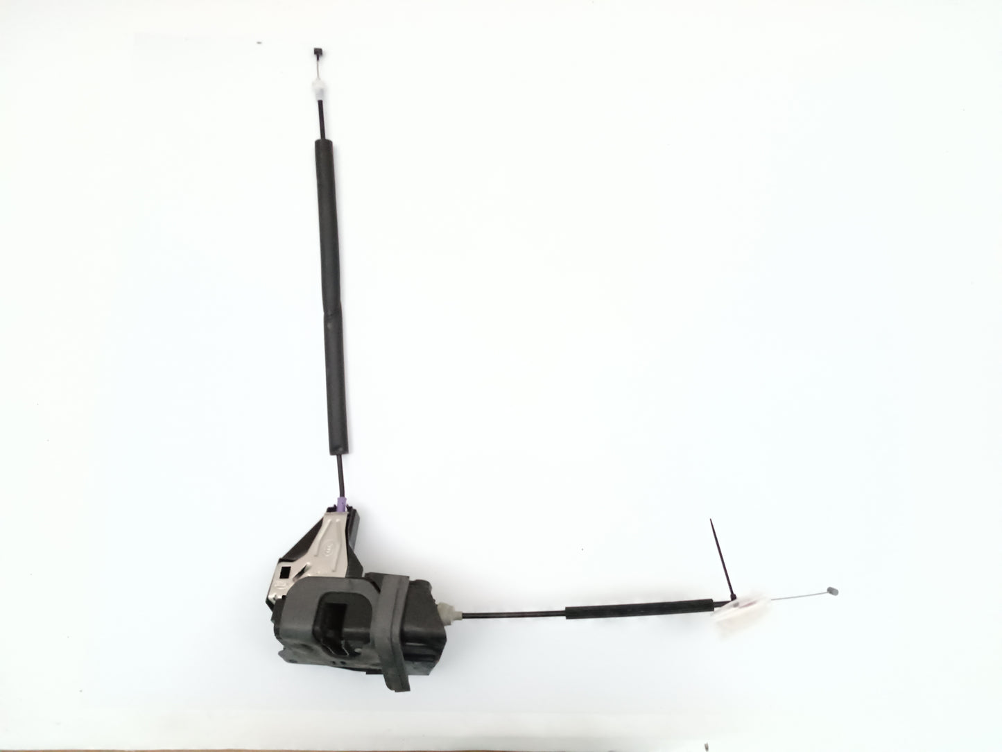 T2H17428,LR070434