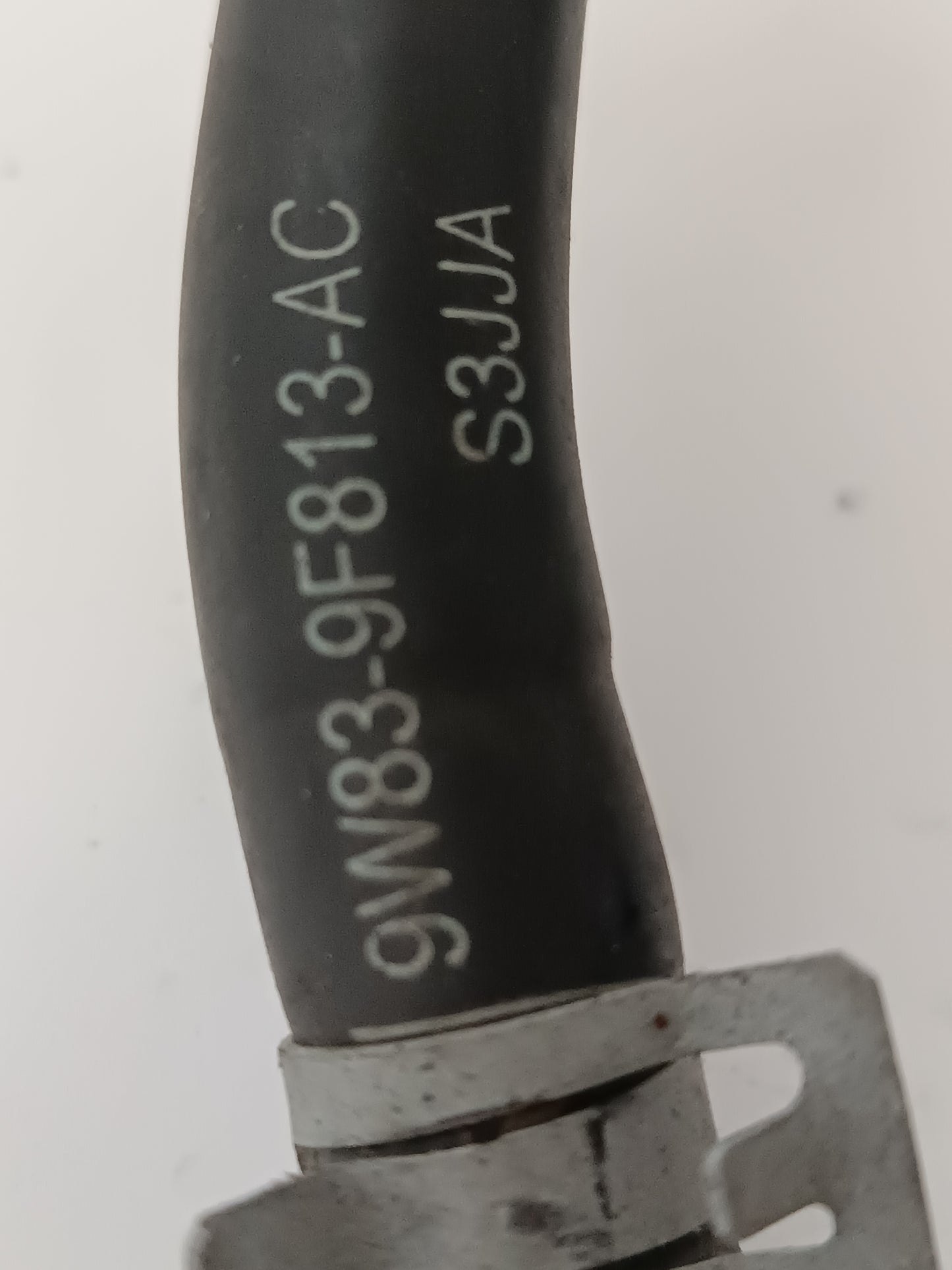 LR047457,LR010760,AJ813614,AJ812140