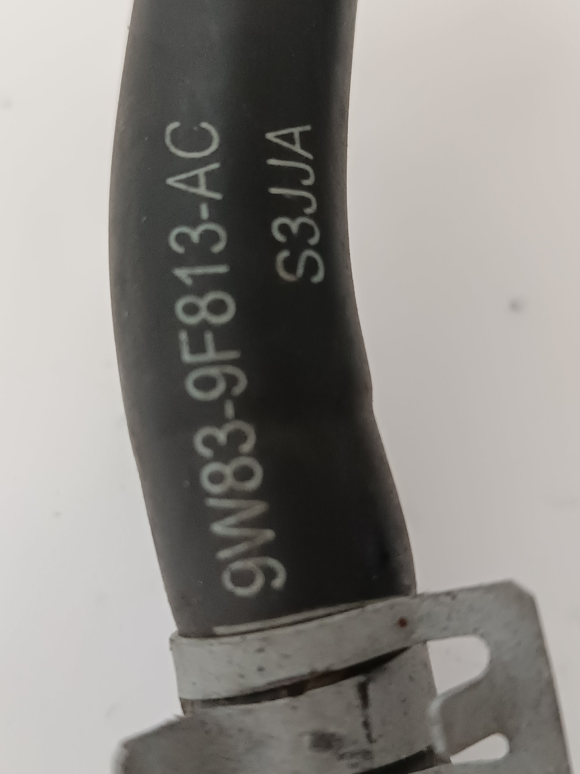 LR047457,LR010760,AJ813614,AJ812140