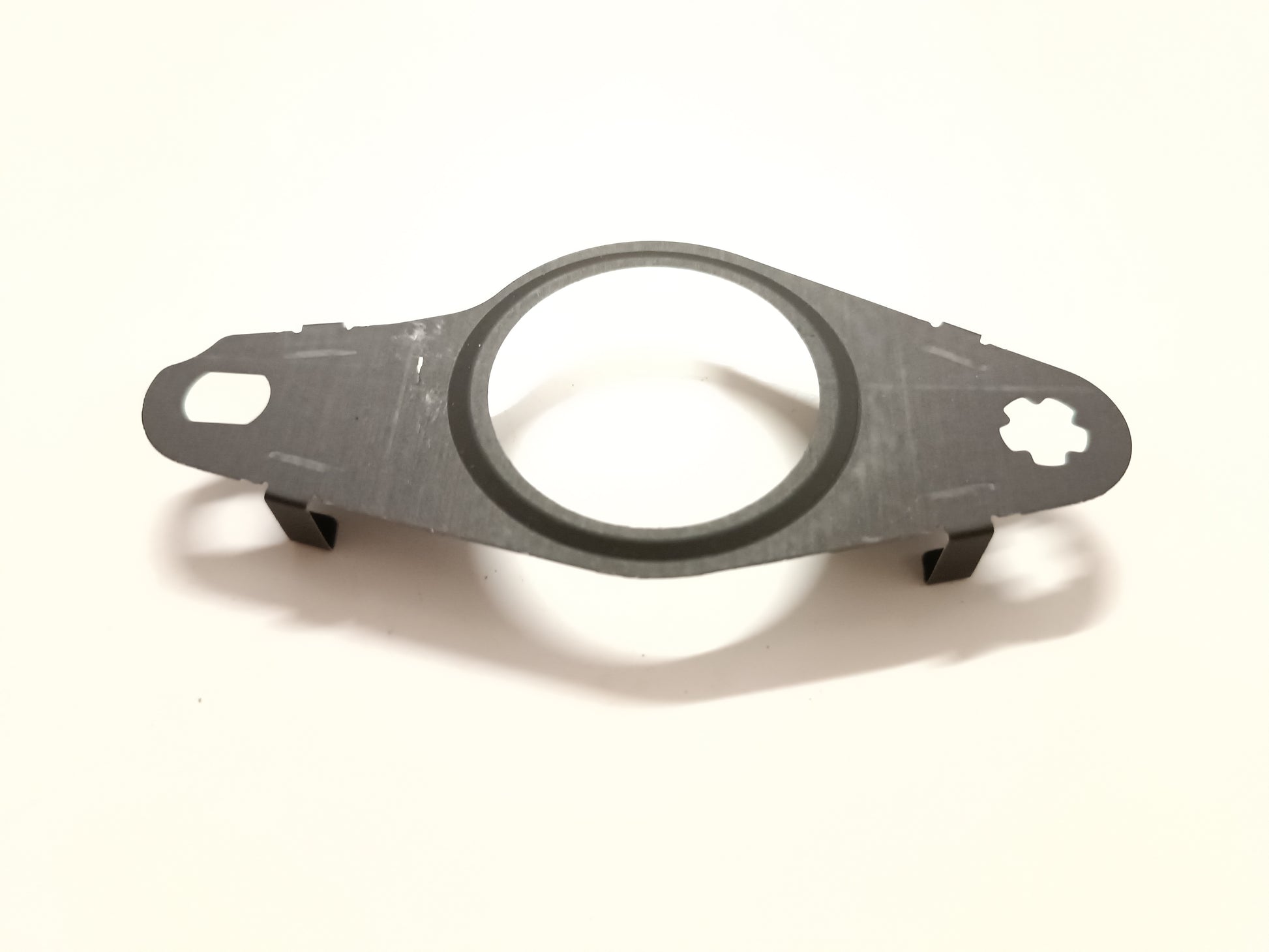 LR073734,AJ813343