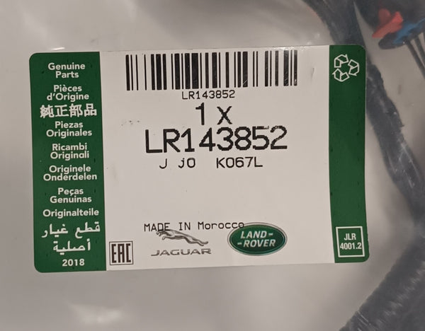 LR143852