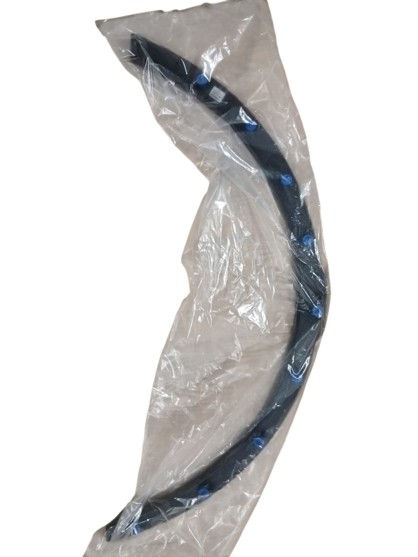 LR036051