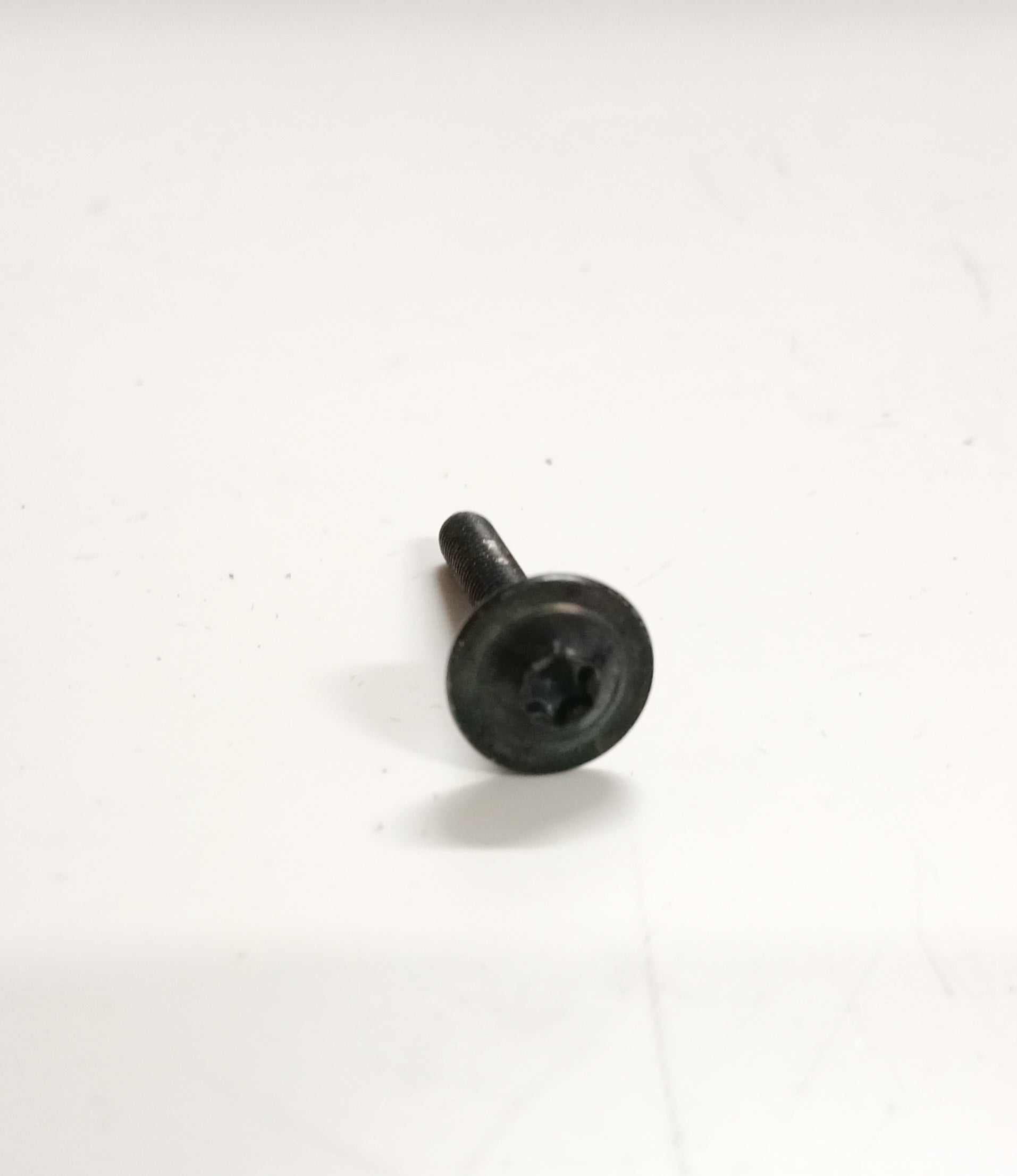 LR033646