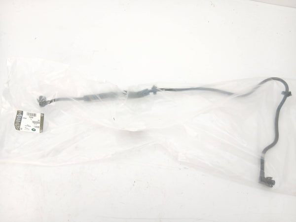 T4A2938,LR091647
