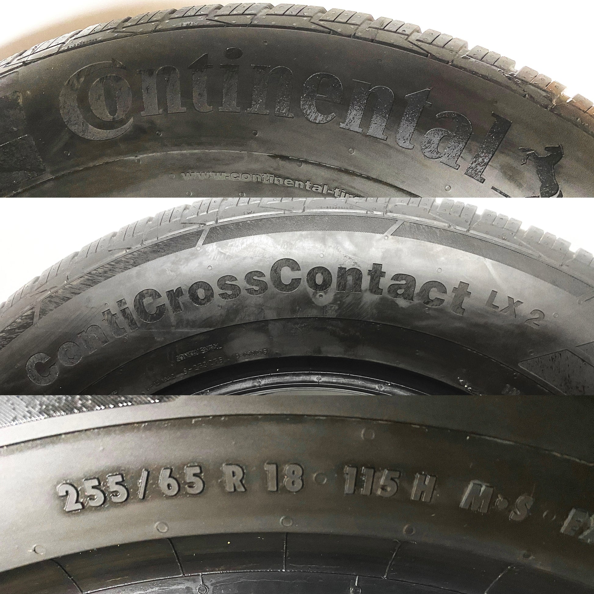 C25565R18S