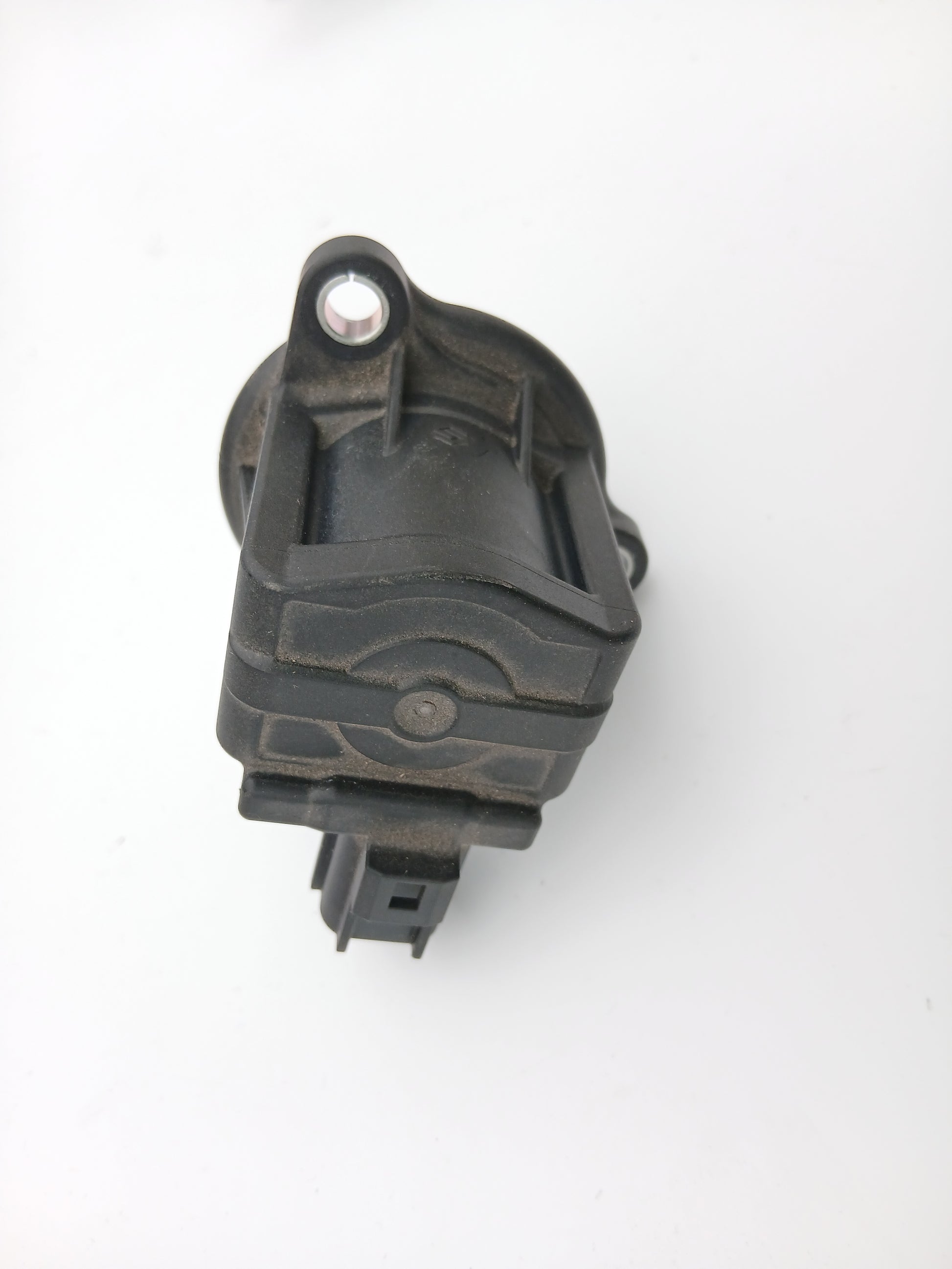 T2J2124,LR093490