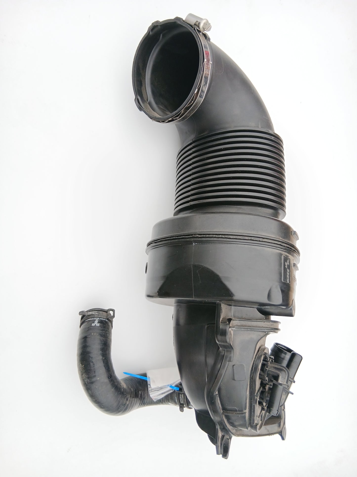 T4N29237,LR126502