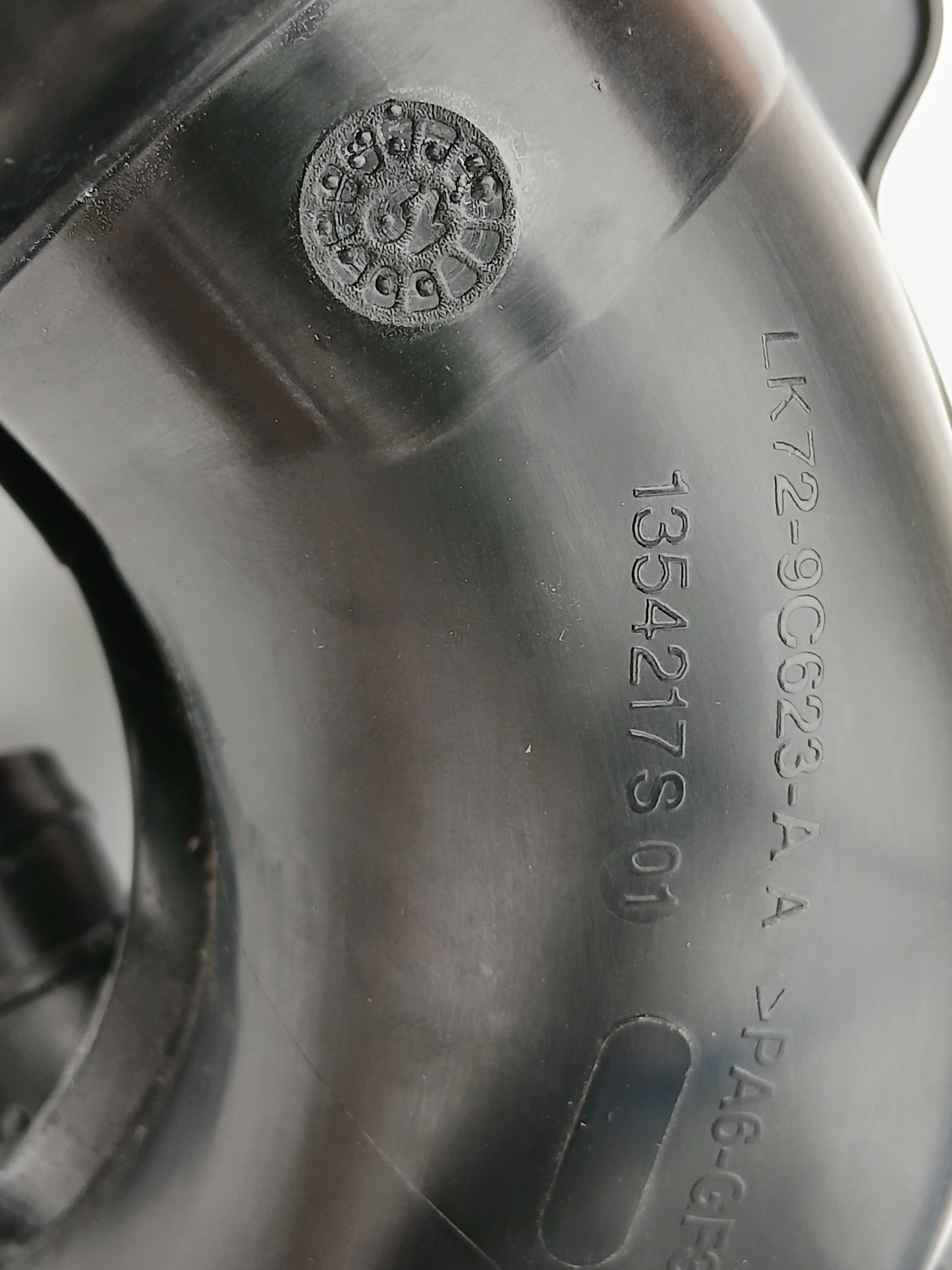 T4N29237,LR126502