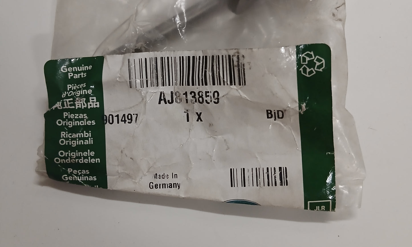 LR091573,AJ813859