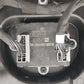LR036399