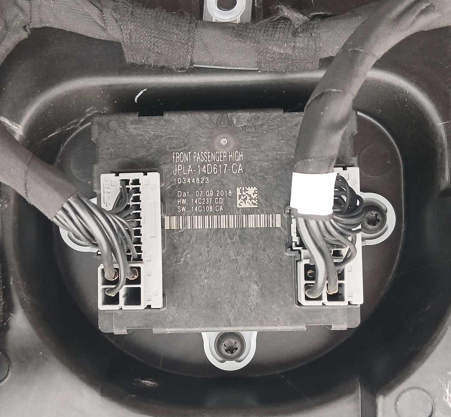 LR036399