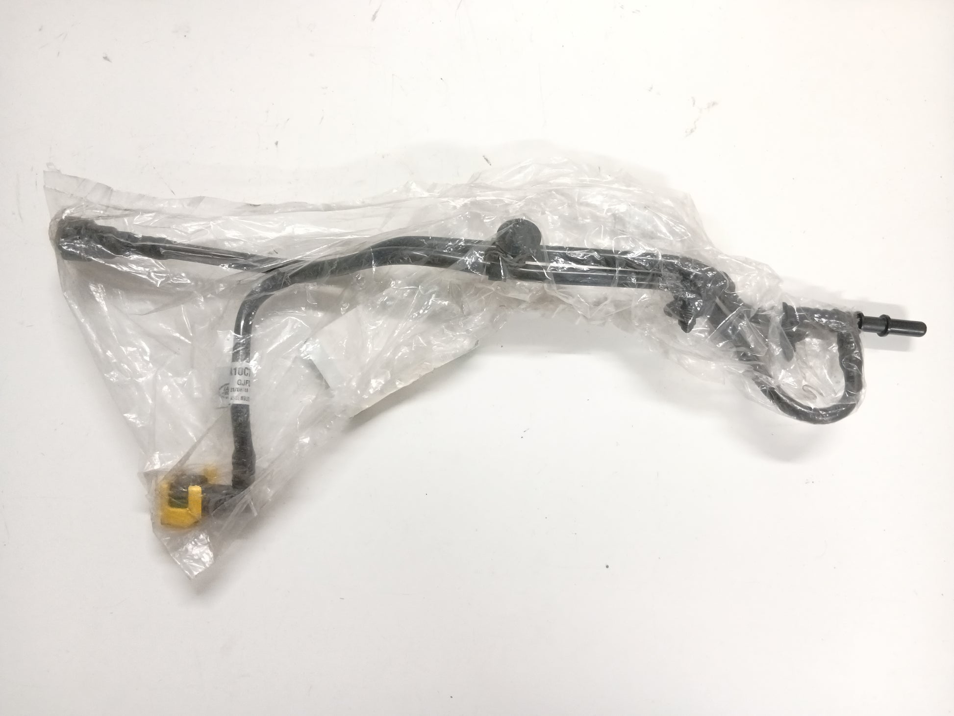 LR101848