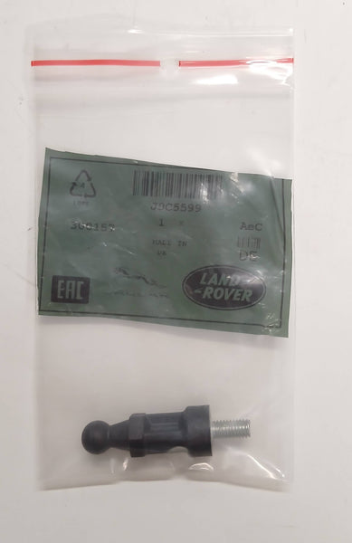 J9C5599