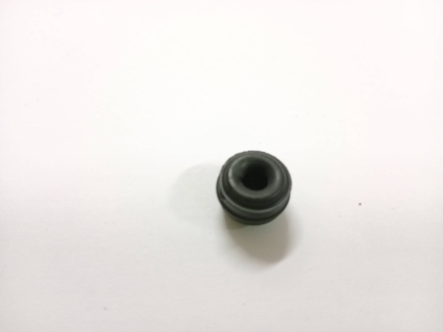 LR027312,C2C29159
