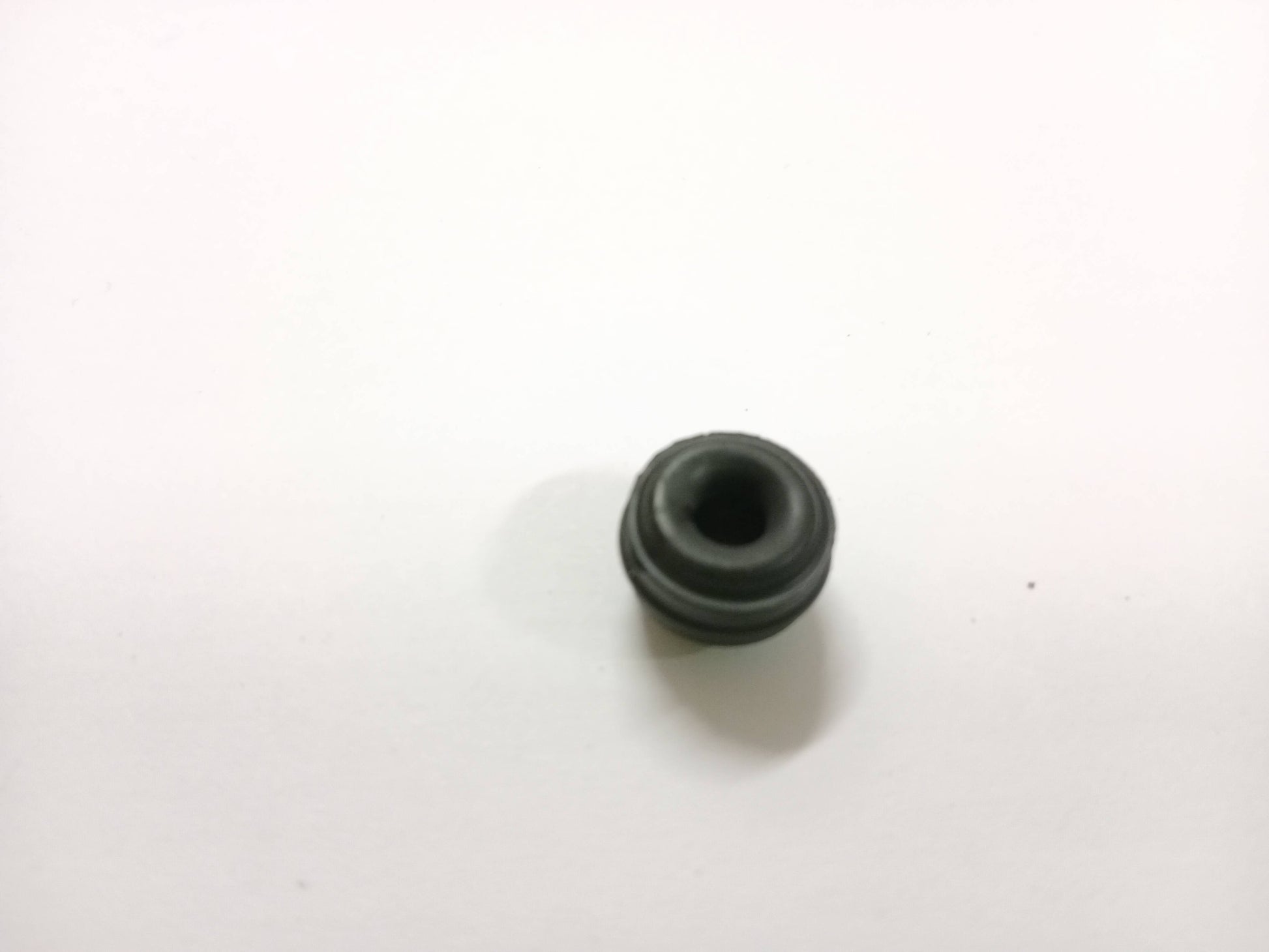 LR027312,C2C29159