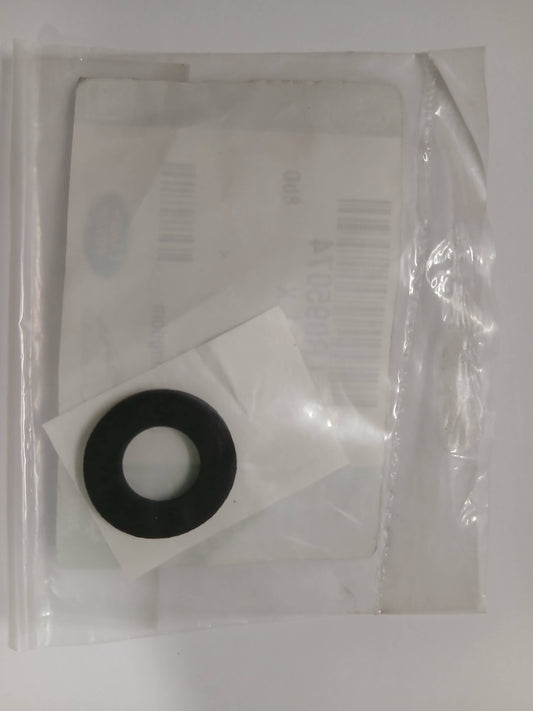 LR095074