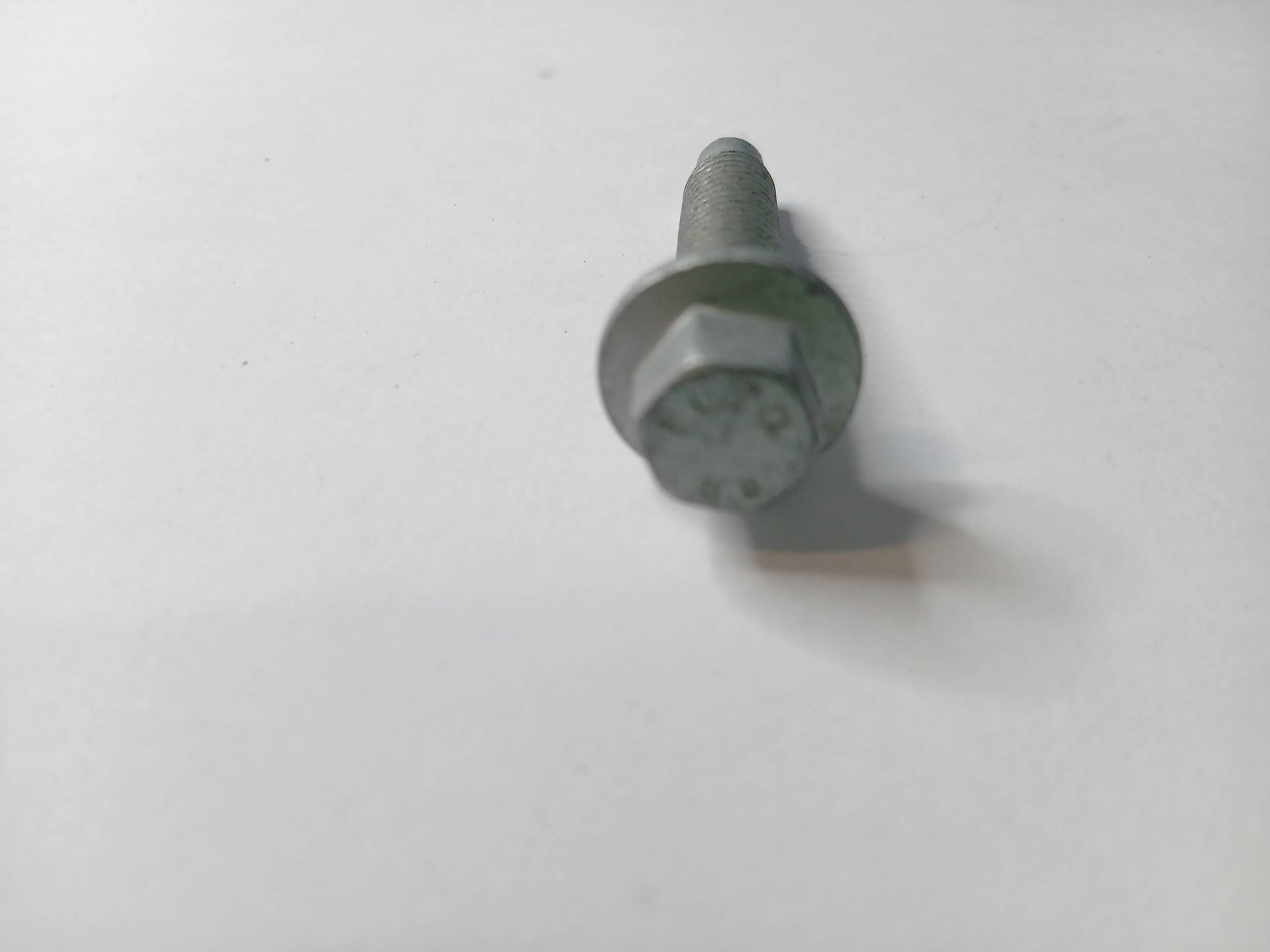 RYG500290,C2Z1459
