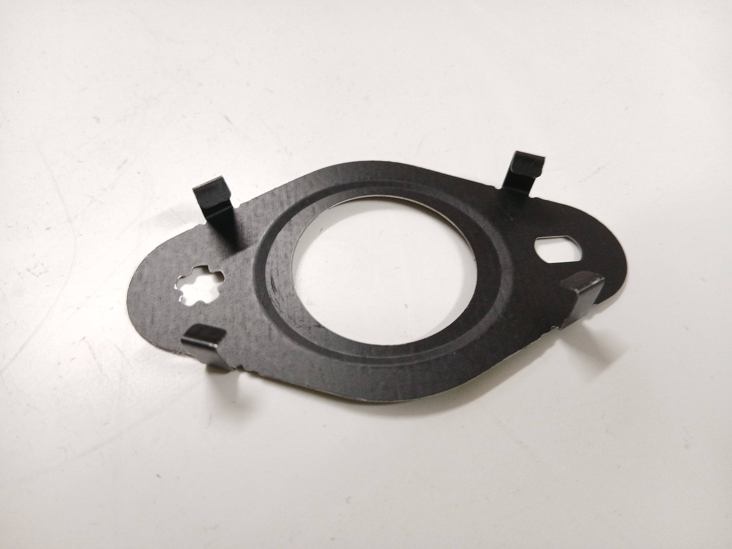 LR095556,JDE39519