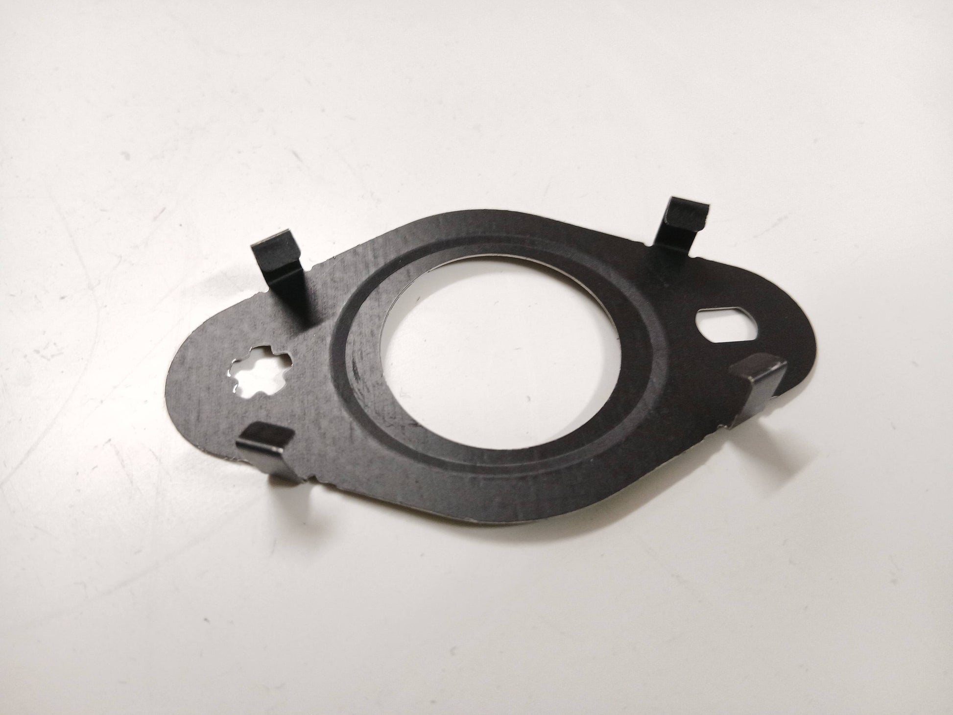 LR095556,JDE39519